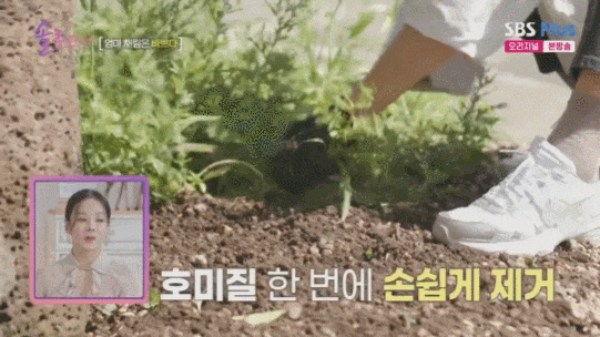 韩国媳妇蔡琳，二婚嫁给“萧剑”，3年不告诉孩子爸爸是谁