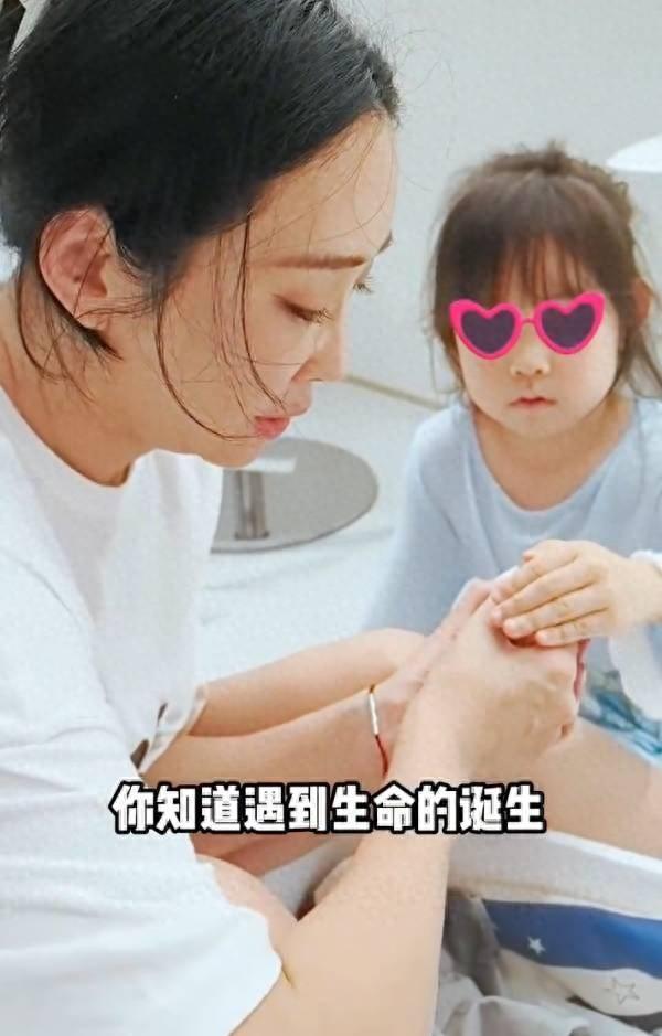 严屹宽老婆杜若溪帮女儿养鸡！小鸡生病还给挂了急诊