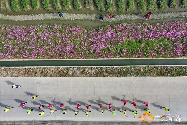 走!打卡云溪湾,尝乡间美食、看农家晒稻、走绿道摘果蔬……