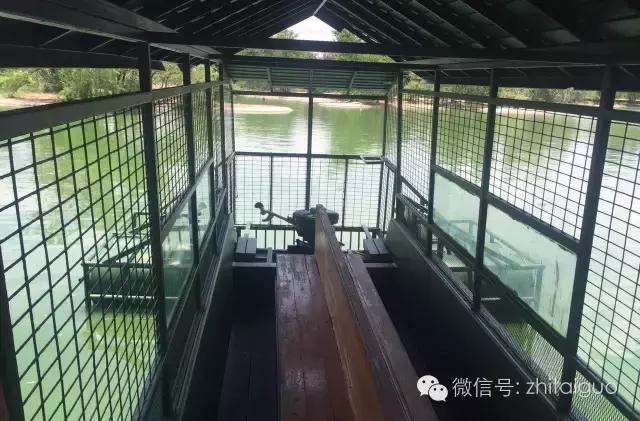 芭提雅鳄鱼潭被勒令暂时歇业整顿 消除安全隐患