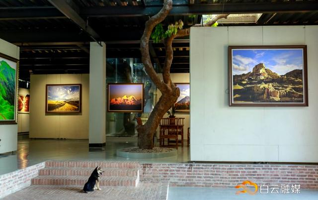 走!打卡云溪湾,尝乡间美食、看农家晒稻、走绿道摘果蔬……