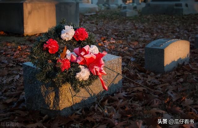 《献给阿尔吉侬的花束》：难道聪明善良不兼得？