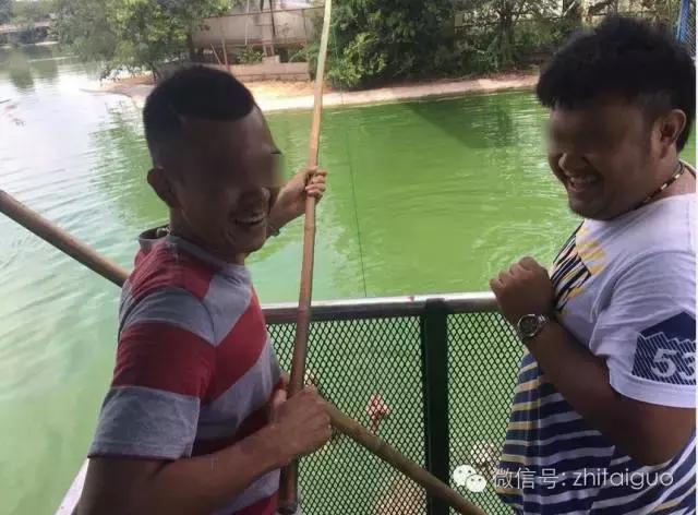 芭提雅鳄鱼潭被勒令暂时歇业整顿 消除安全隐患