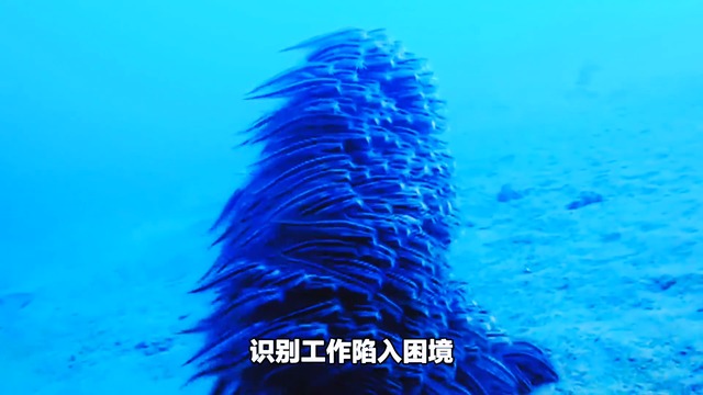 俄罗斯惊现深海“异形”！