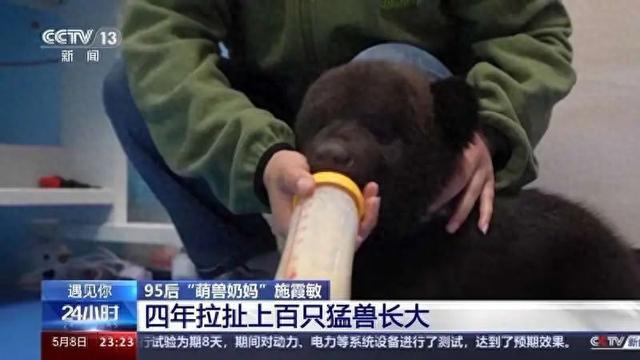 这届年轻人带薪“撸虎玩熊”?网友:梦想职业无疑了