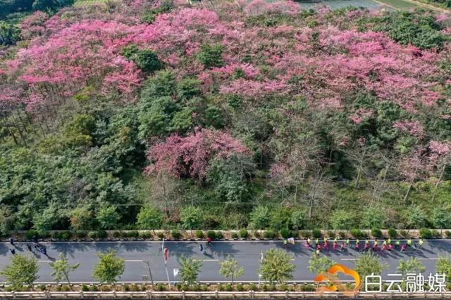 走!打卡云溪湾,尝乡间美食、看农家晒稻、走绿道摘果蔬……