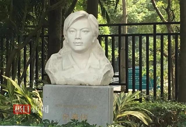 23年前她将“眼睛”留在人间，见证了今天这个美丽奇迹