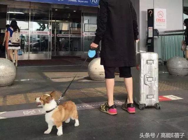 薛之谦高磊鑫复合:十年长情,段子背后不为人知的孤独与伤痛