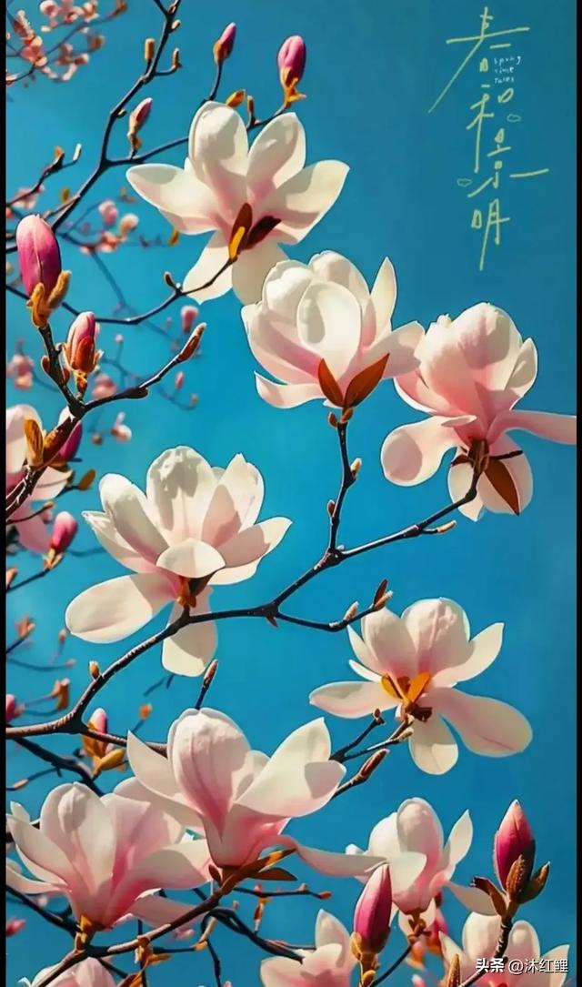 有网友指出杨慎《临江仙》中“惯看秋月春风”应改为春花,同意吗