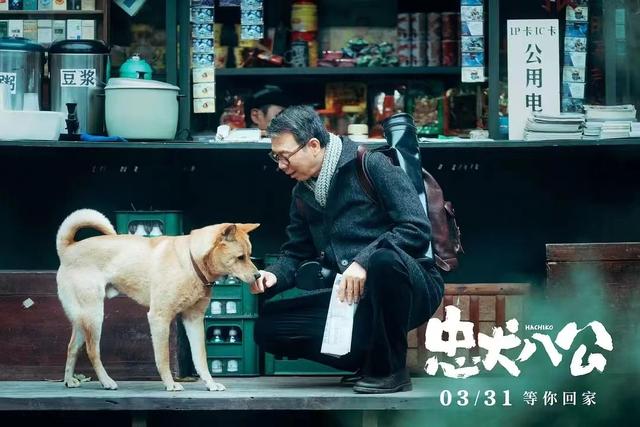 冯小刚参演中国版《忠犬八公》，称“这次狗狗是主角”