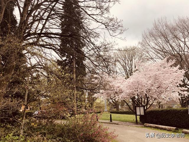美国李小龙墓地：叶问预言李小龙短命，父子两人葬一起，令人唏嘘
