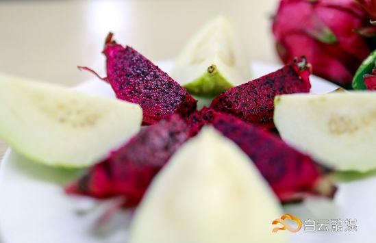 走!打卡云溪湾,尝乡间美食、看农家晒稻、走绿道摘果蔬……