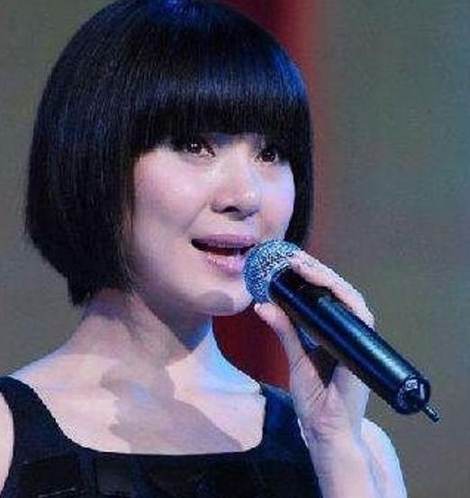 2013年，陈红老公出轨沈星，被抓后喊冤：她花了我一千万