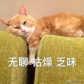 朋友们，你剧荒了吗？