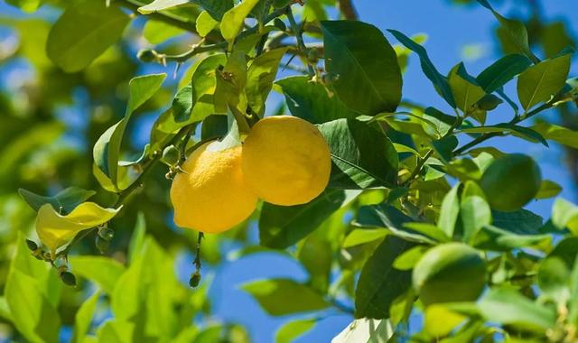 走!打卡云溪湾,尝乡间美食、看农家晒稻、走绿道摘果蔬……