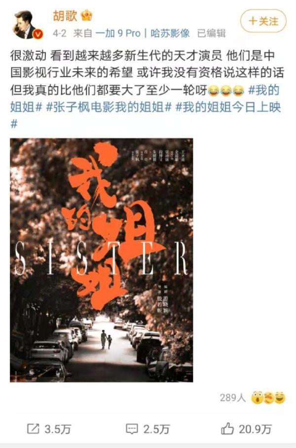 看哭千万人！《我的姐姐》彻底火了：票房3.5亿，胡歌推荐！背后又有这家上市公司……