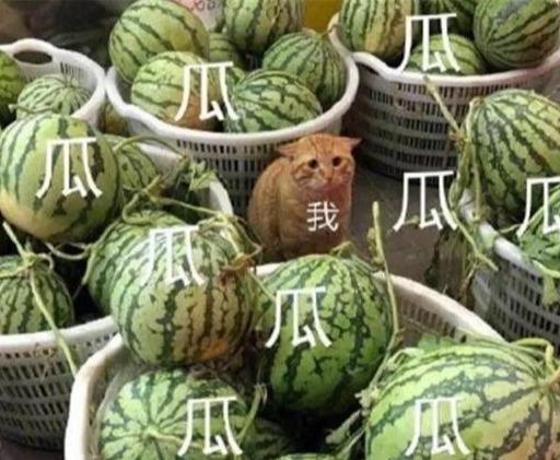 今天咱们都是瓜田里的猹!罗志祥人设崩塌后的粉丝倒戈