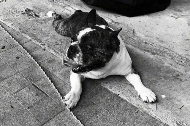 鹿晗与迪丽热巴私下聚餐的画面终于被网友拍到了