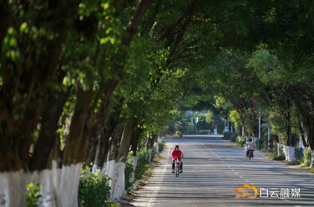 走!打卡云溪湾,尝乡间美食、看农家晒稻、走绿道摘果蔬……