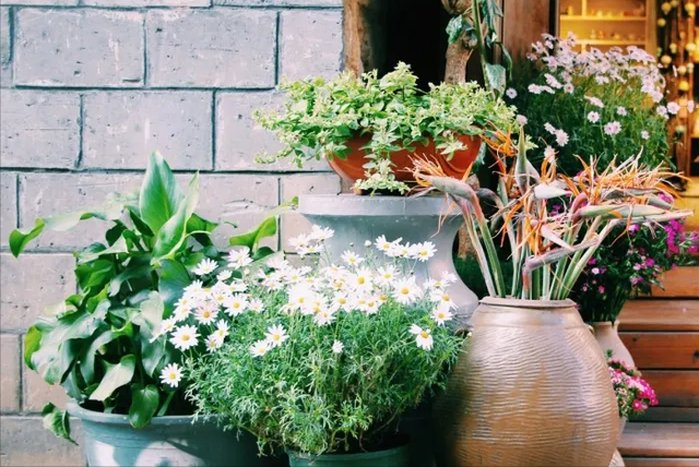 白富美嫁凤凰男后，其娘家被榨干：凤凰男6大套路，越早知道越好