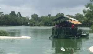 鳄鱼潭(芭提雅鳄鱼潭被勒令暂时歇业整顿 消除安全隐患)