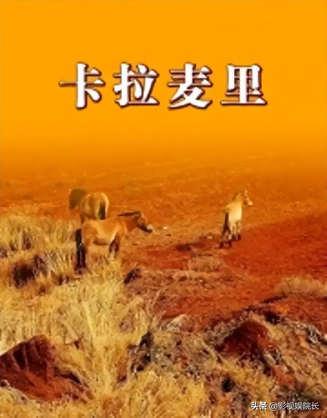 推荐7部天山电影制片厂拍摄西北风沙漠片,看过几部?