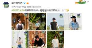 何炅陶虹(网红和艺人有何区别？薇娅来蘑菇屋，黄磊和何炅的接待已说明一切)