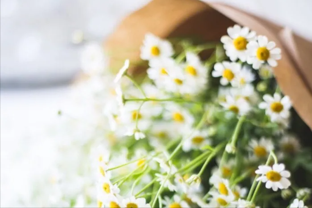 白富美嫁凤凰男后，其娘家被榨干：凤凰男6大套路，越早知道越好