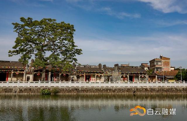 走!打卡云溪湾,尝乡间美食、看农家晒稻、走绿道摘果蔬……