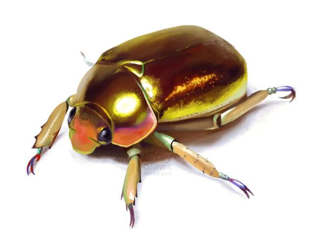 那些珠光宝气的金银色甲虫们