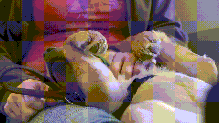 一个特殊职业，你肯定不了解