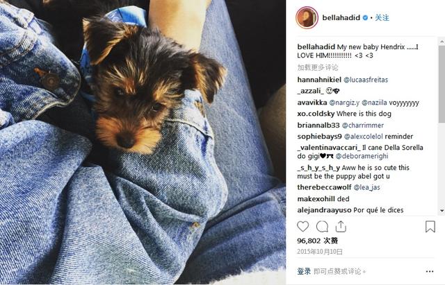 贝拉“0存在”低调庆生,反倒是闷骚的盆栽哥大把撒起了狗粮