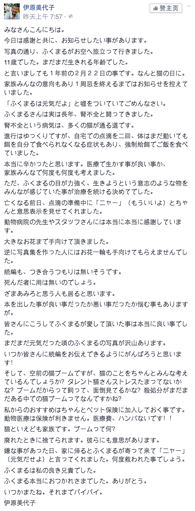 这只日本最有爱的“婆婆猫”，去了天国