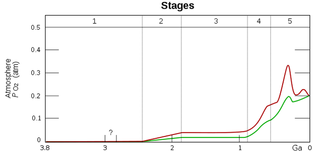 海绵宝宝36岁了，你知道吗，没有海绵也许就没有现在的人类
