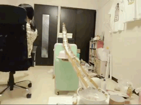 日本软萌妹靠沙雕发明走红，网友：靠脸吃饭不好么？