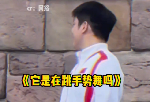 笑不活了！樊振东去迪士尼游玩，被鉴定为没有女朋友。评论笑死