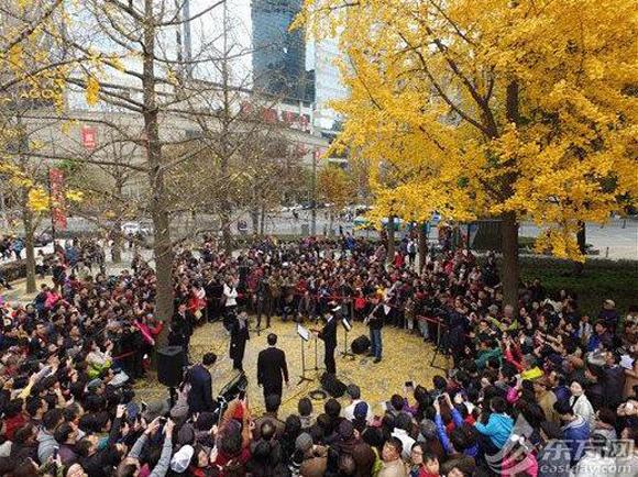 五颜六色的最美季节来啦！申城秋季赏景指南