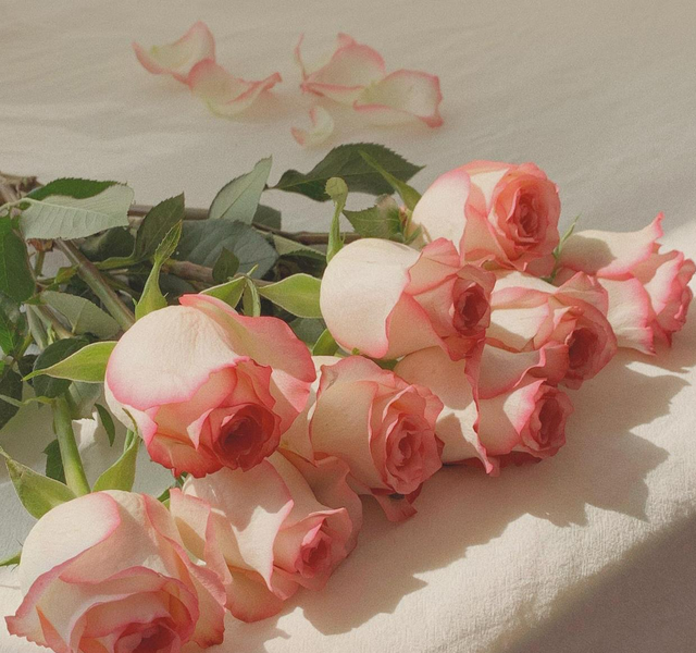 不管是夫妻还是情人，总觉得爱不够的，永远都是这种男女