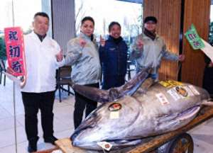 4000万日元(超2亿日元拍下一条金枪鱼，日本餐饮名企表示这意味着好运)