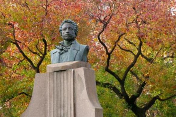 五颜六色的最美季节来啦！申城秋季赏景指南