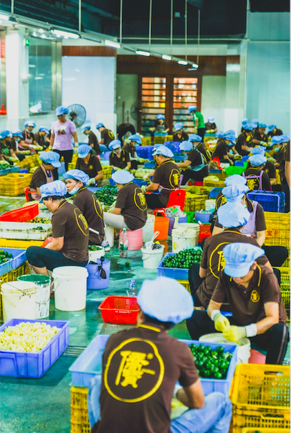 广东农业为什么与众不同？一一写在第四个中国农民丰收节