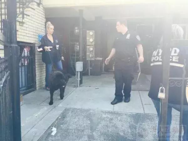 一个特殊职业，你肯定不了解