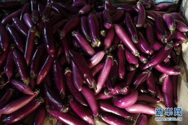 阿迪力·斯迪克播种幸福生活