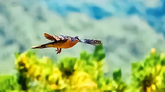 丛飞：资助183个“白眼狼”，妻子被砸死，他的经历你无法想象