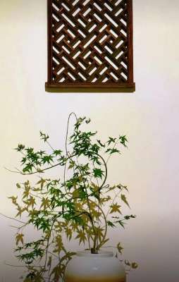 凝夏(被爱与背叛包围，她誓要撕开真相)