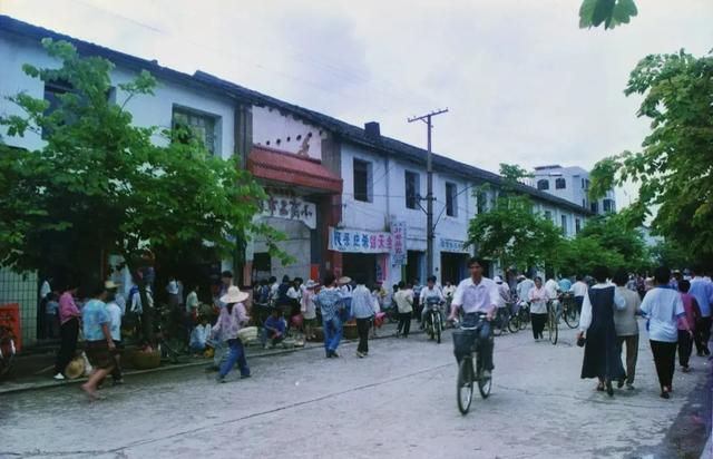 匆匆那些年：暗恋学姐多年，95年毕业后我为娶她向单位请假