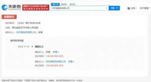 张美华(同济堂医药及张美华被恢复执行13亿)