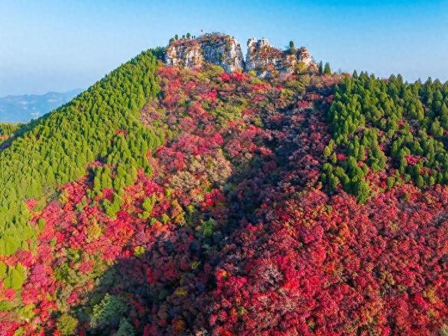 山东好景｜济南劈山“红叶秘境”秋色醉人