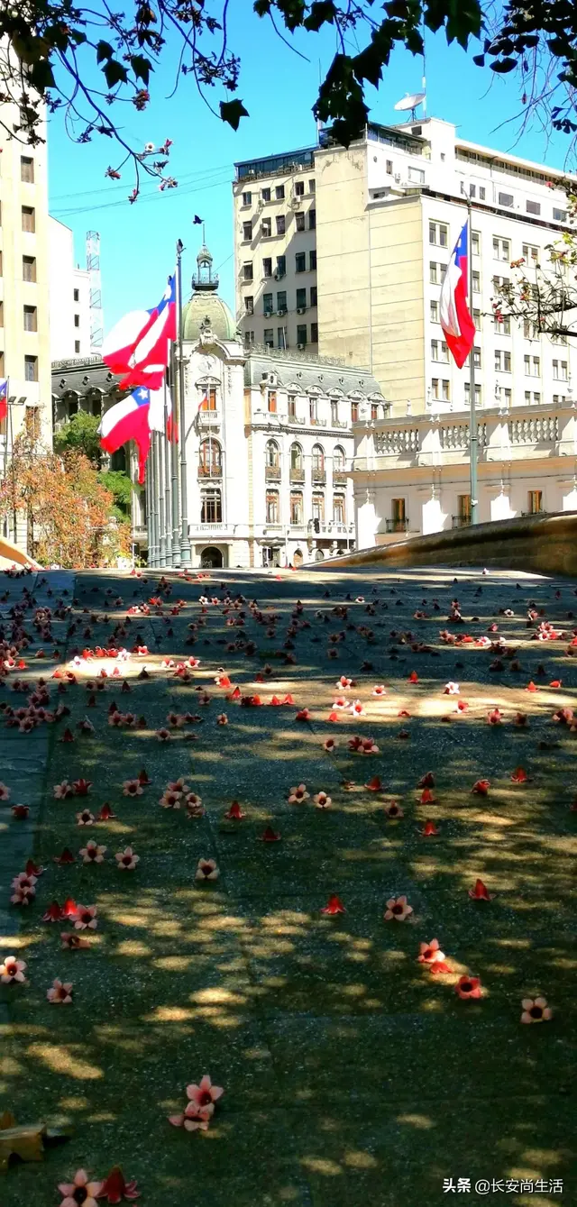 一路向南之寻迷智利（二）