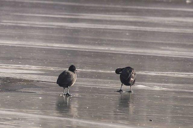影像｜莱钢老年《摄影视界》作品欣赏：展现五光十色的世界